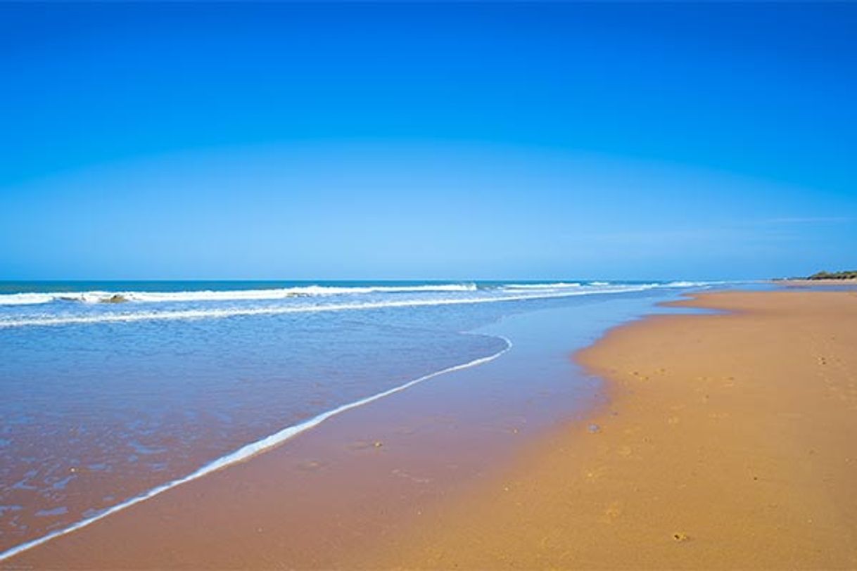 Lugar Playa Ballena Rota