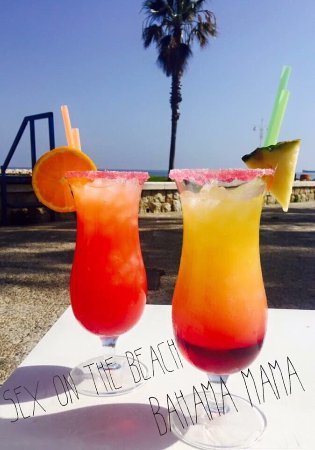 Place LA TORTUGA PEDREGALEJO