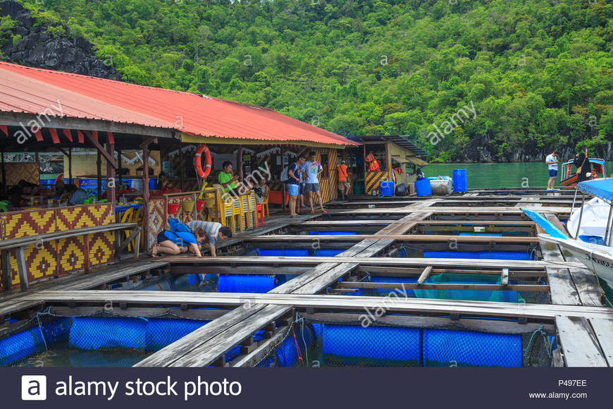Langkawi Fish Farm
