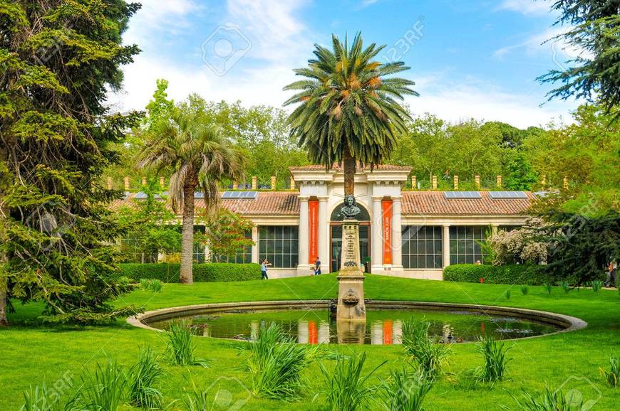 Place Real Jardín Botánico