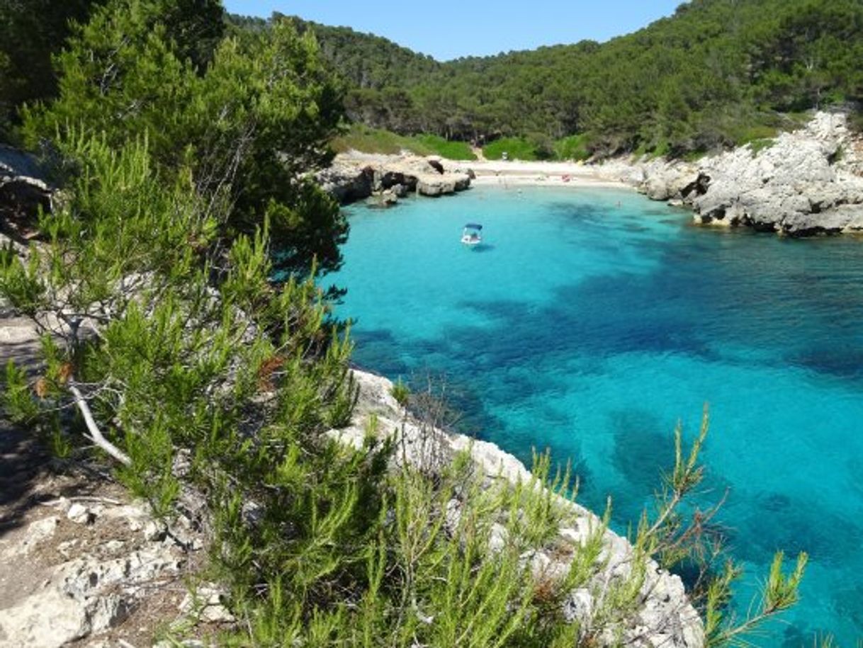 Place Cala Fustam