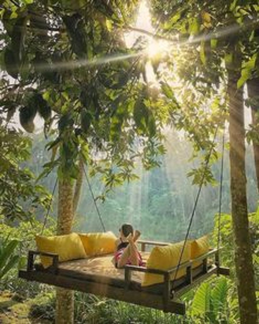 Lugar Ubud