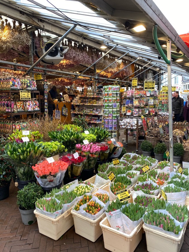 Place Bloemenmarkt