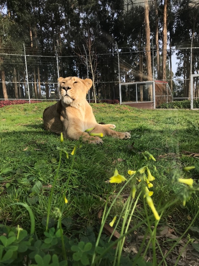 Place Zoo Santo Inácio