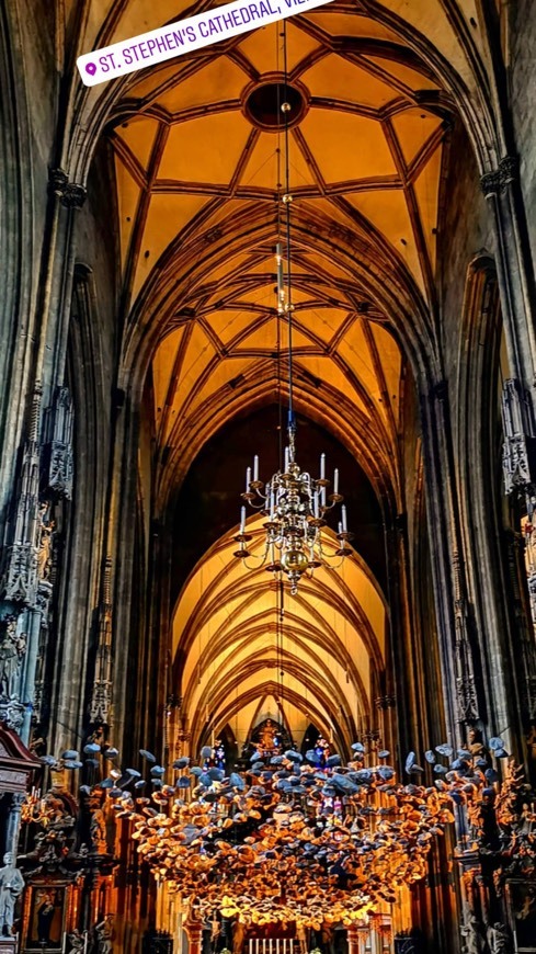 Lugar Catedral de Viena