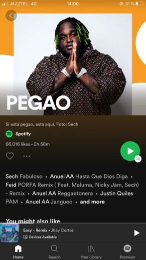 PEGAO