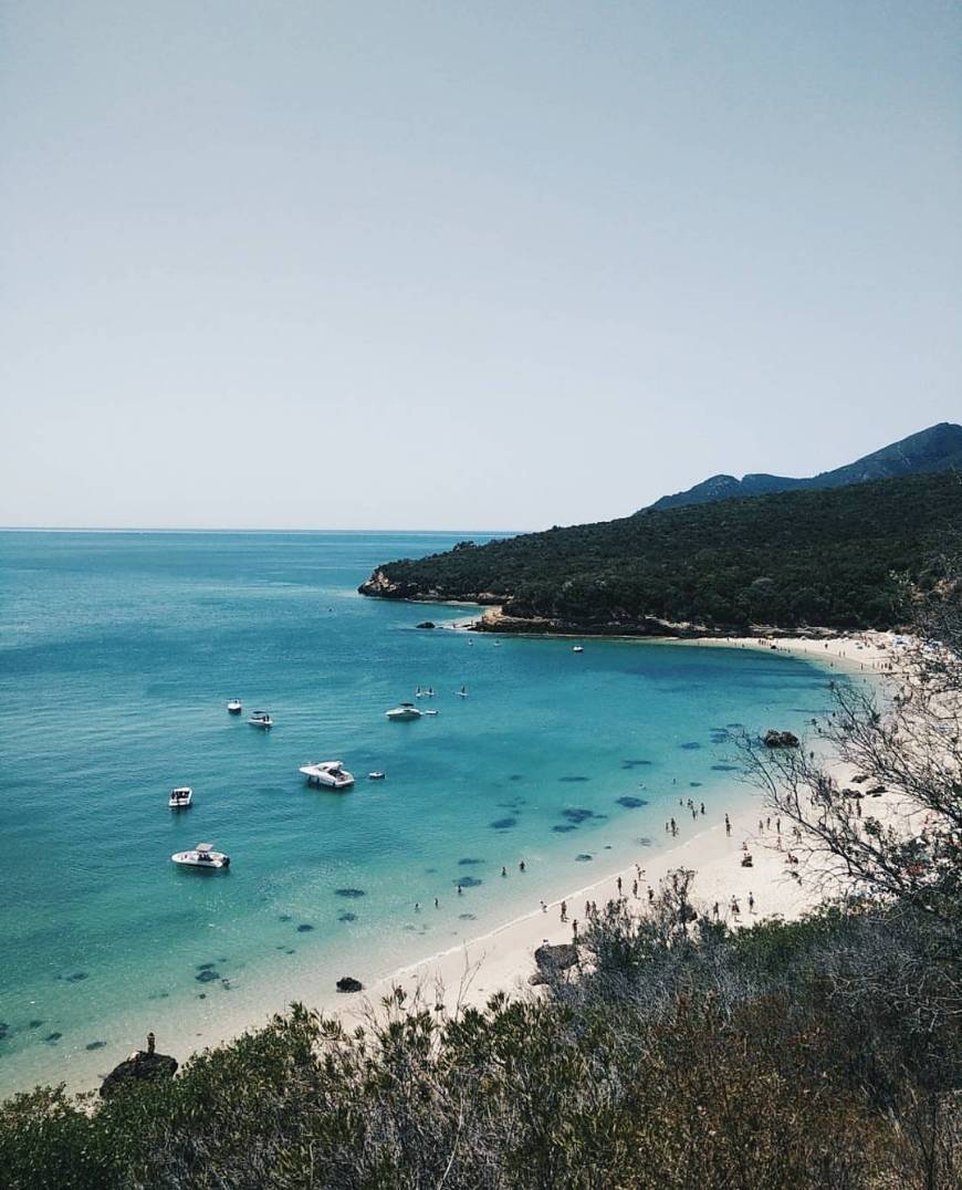 Lugar Praia dos Galapinhos