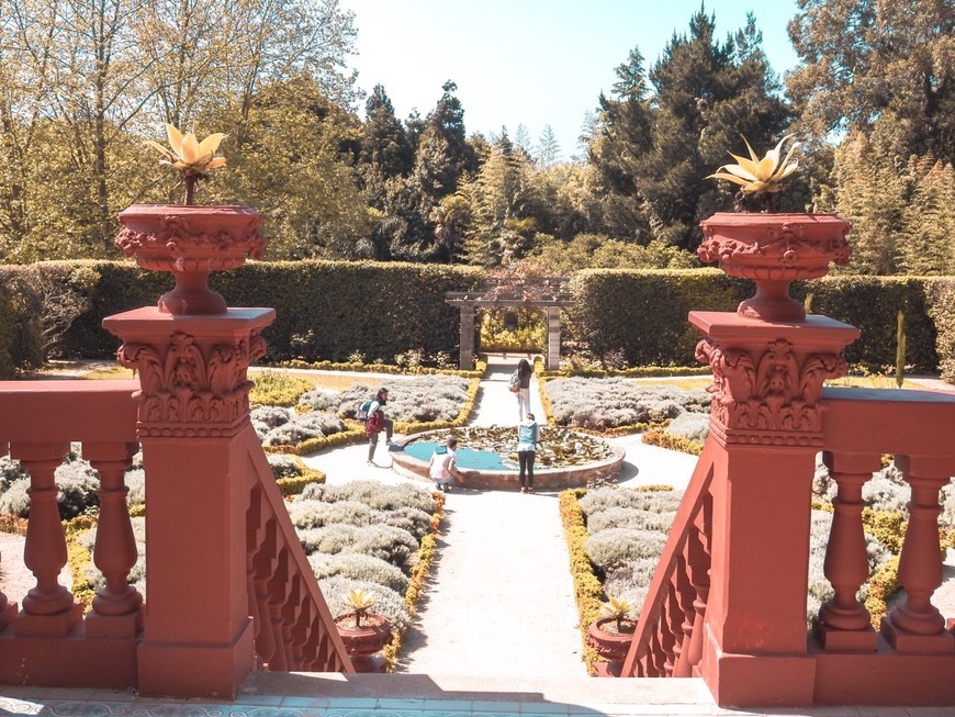 Lugar Jardín Botánico de la Universidad de Oporto