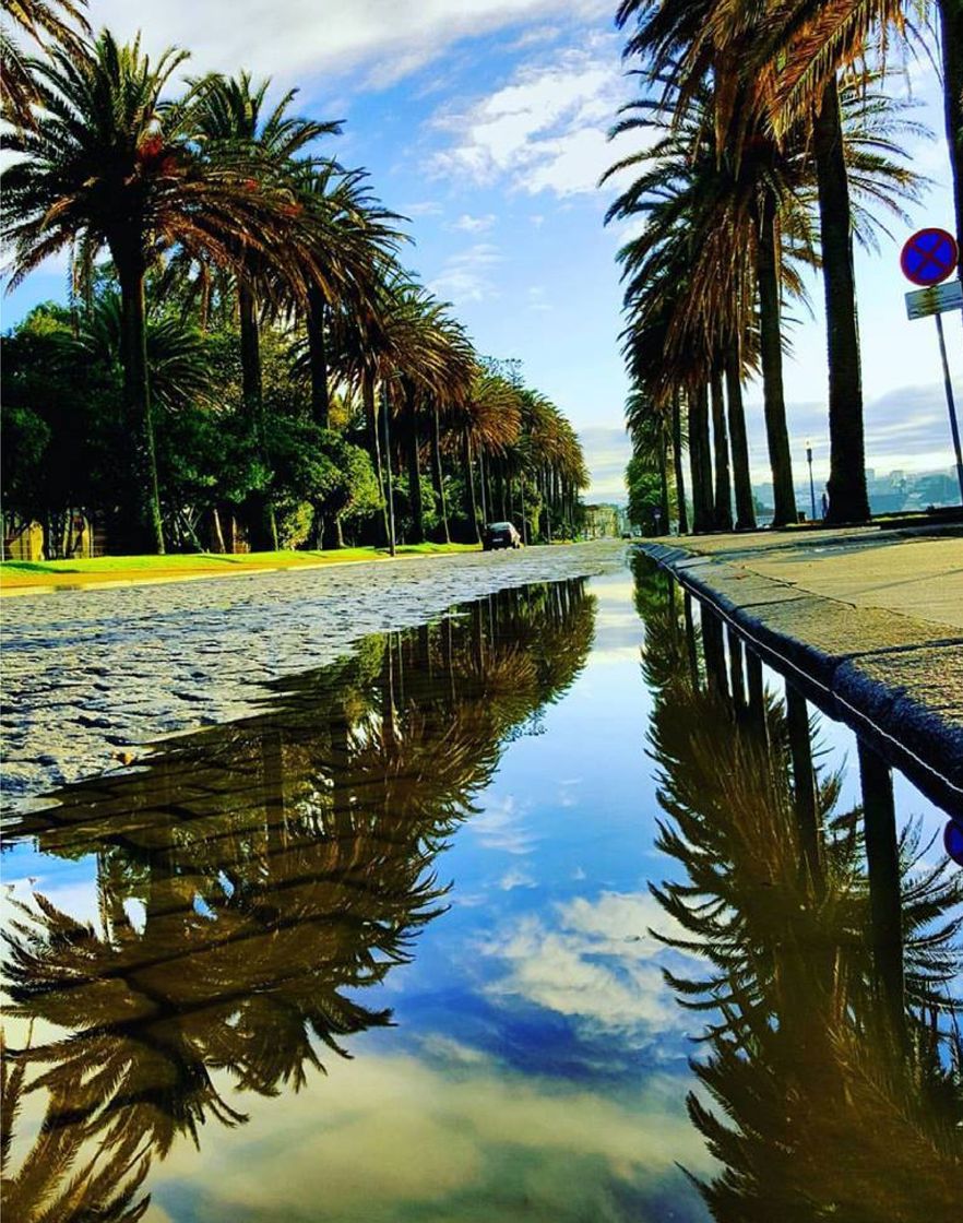 Place Jardim do Passeio Alegre