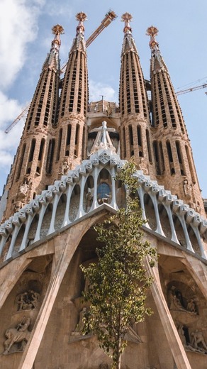 Sagrada Familia: Sagrada Família - Official ticket vendors