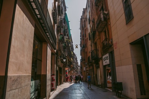 Barcelona Barri Gòtic Area
