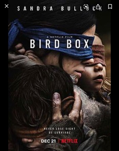 Birdbox