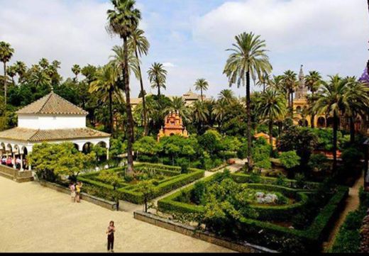 Calle Jardines del Alcázar