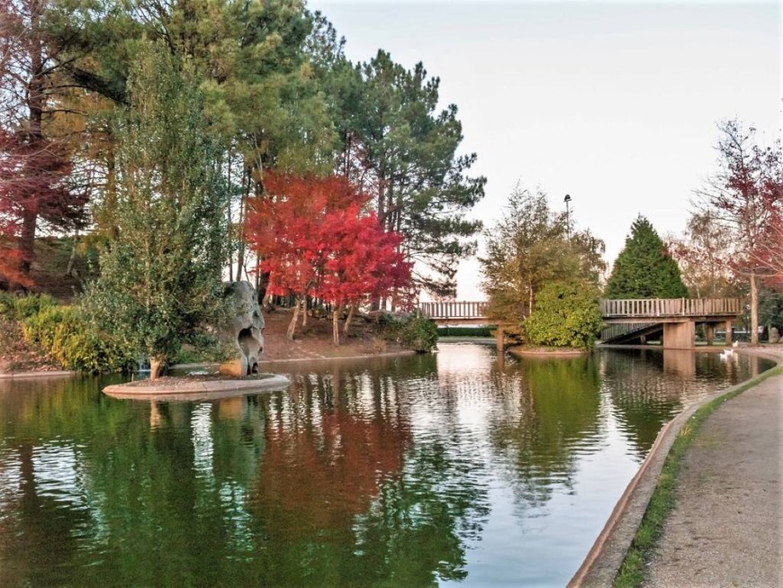 Lugar Parque Forestal Monte dos Pozos