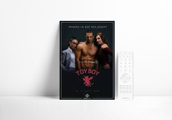 Serie Toy Boy
