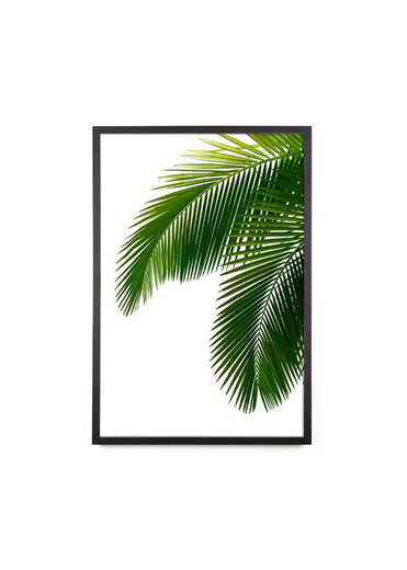 Quadro palmeira 
