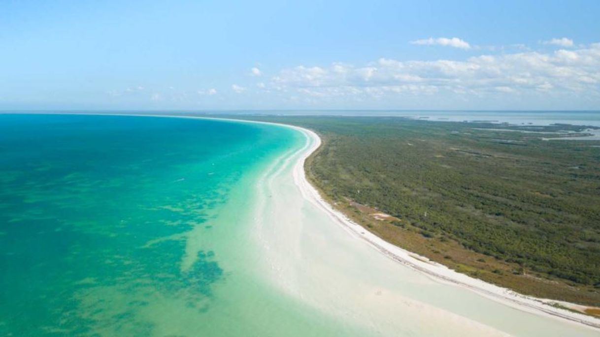 Place Holbox