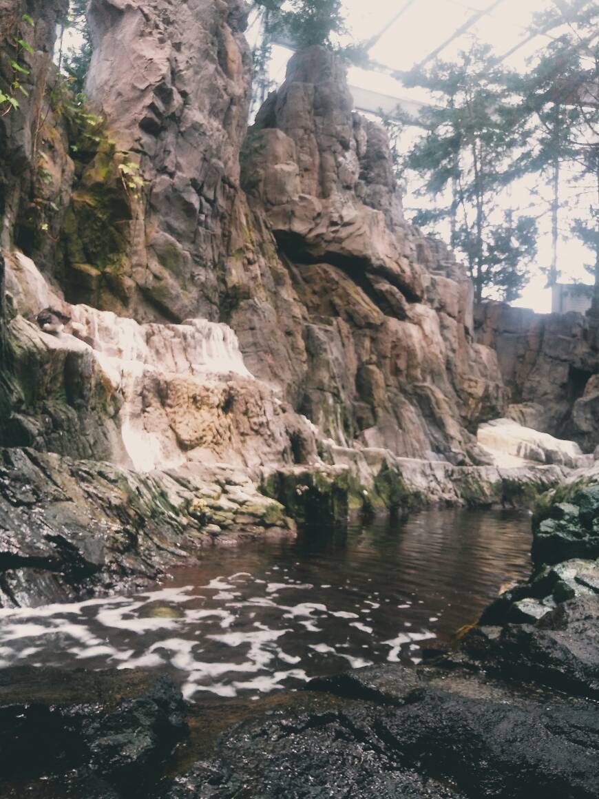 Lugar Oceanário de Lisboa