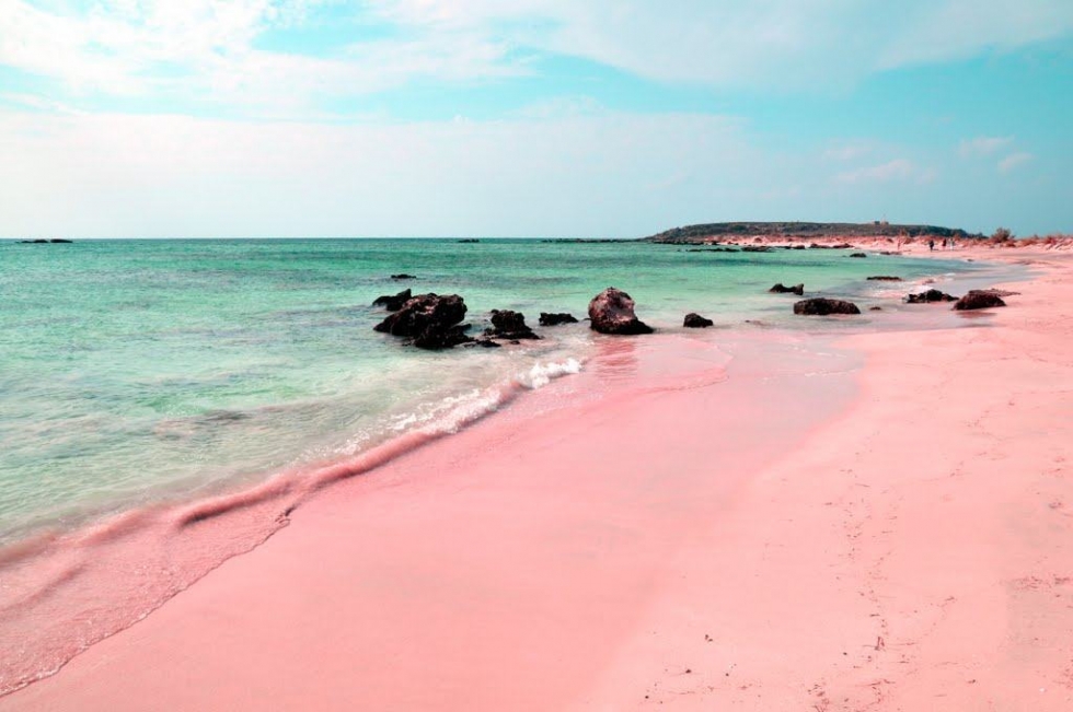 Lugar Pink Sands Beach