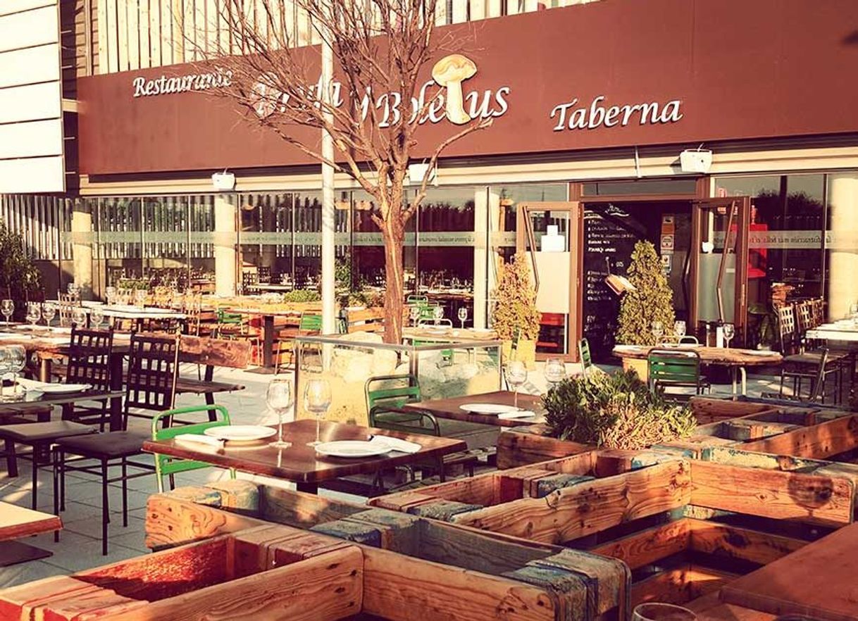 Restaurants Restaurante Trufa y Boletus