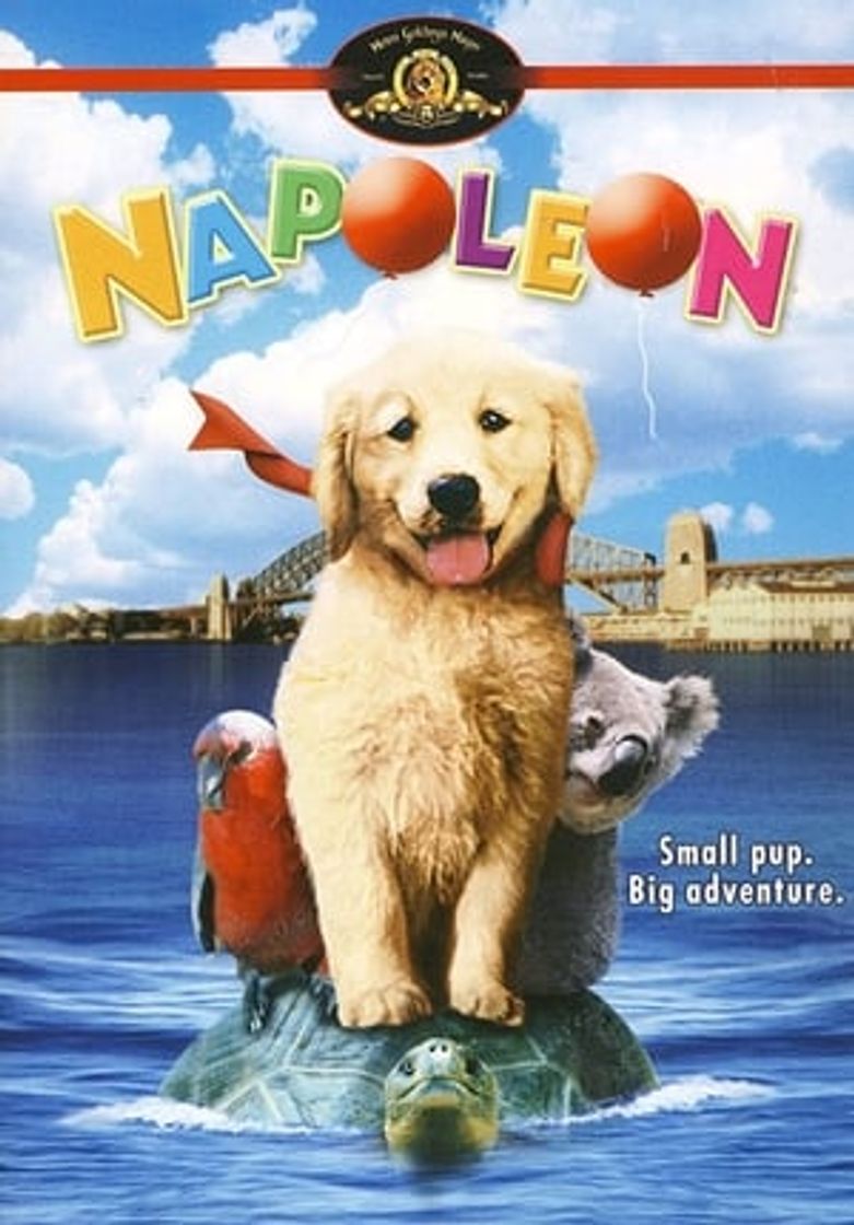 Película Napoleón, el perrito aventurero