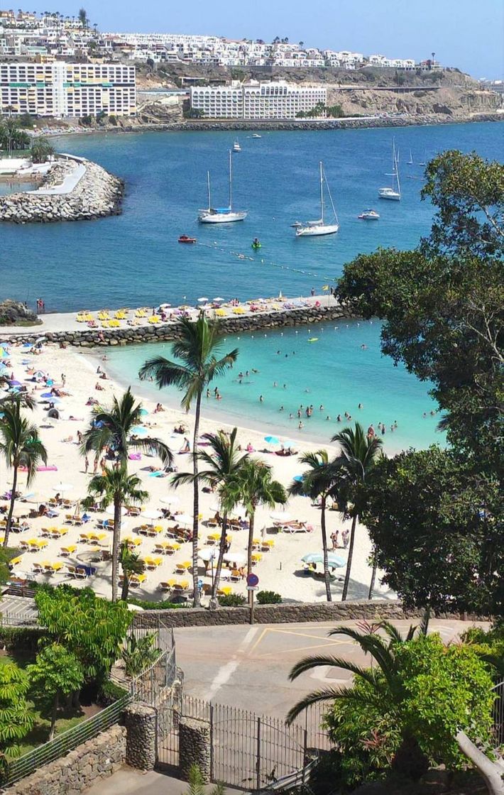 Place Anfi del Mar