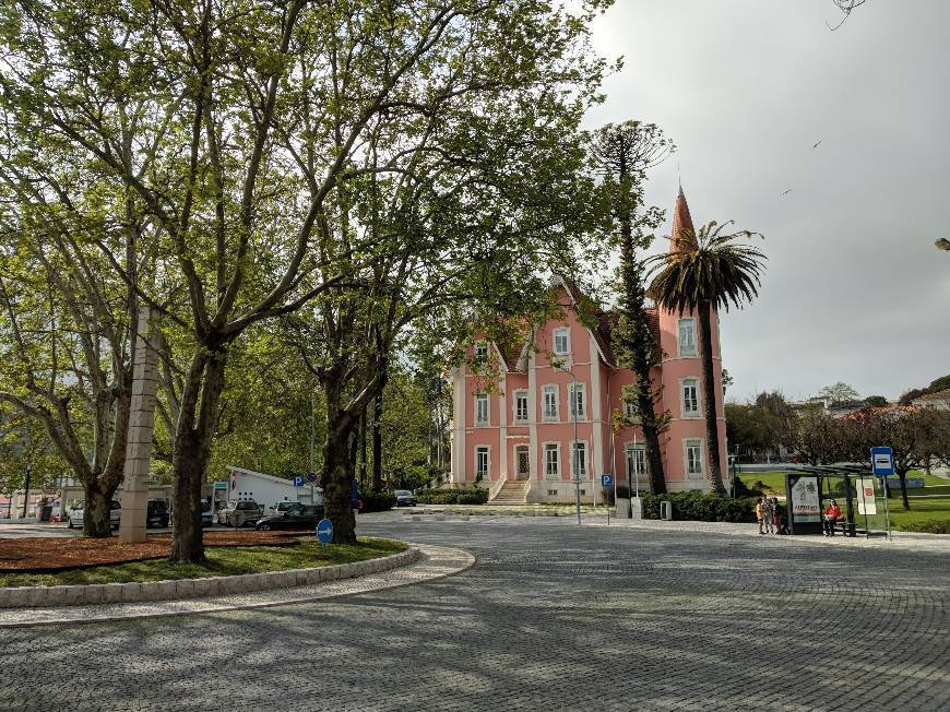 Place Câmara Municipal de Alcobaça