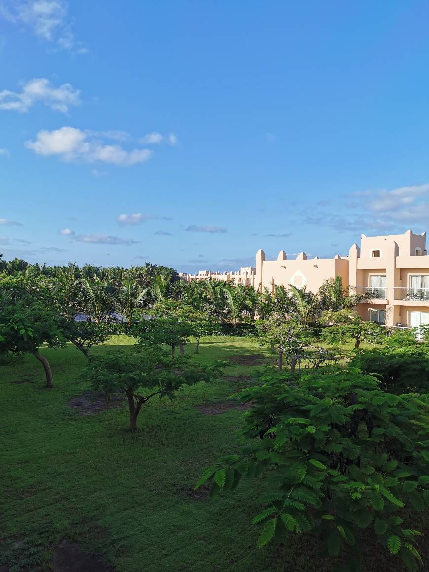 Place Hotel Riu Palace Cabo Verde