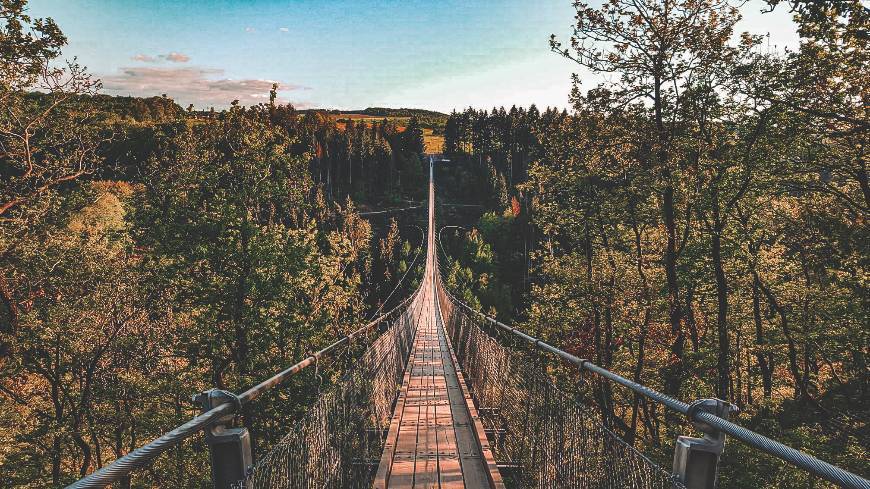 Lugar Geierlay Suspension Bridge