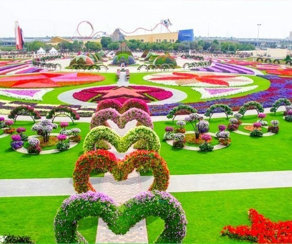 Place Miracle Garden