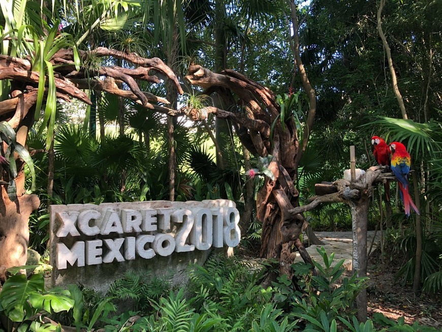 Place Xcaret