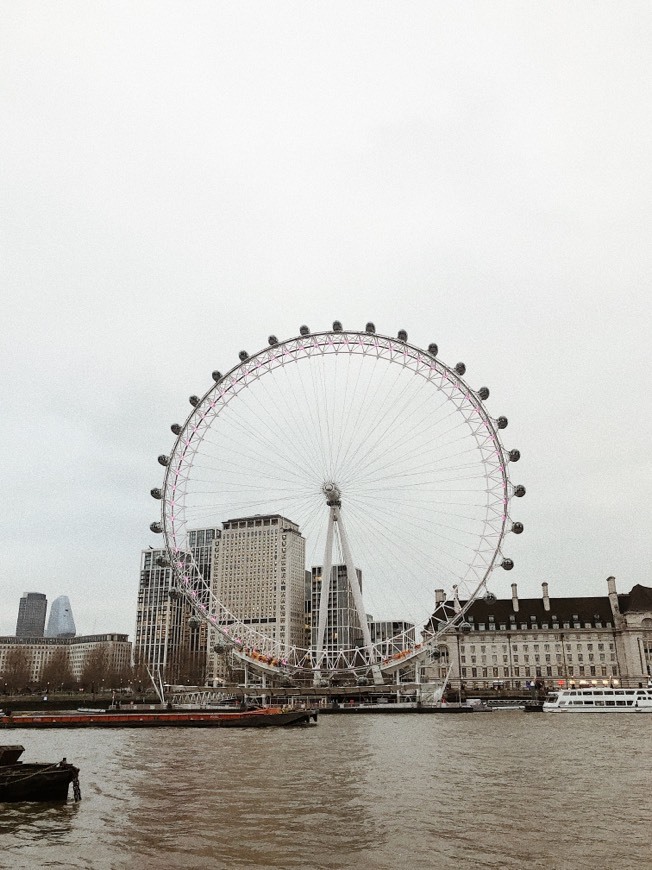 Place London Eye