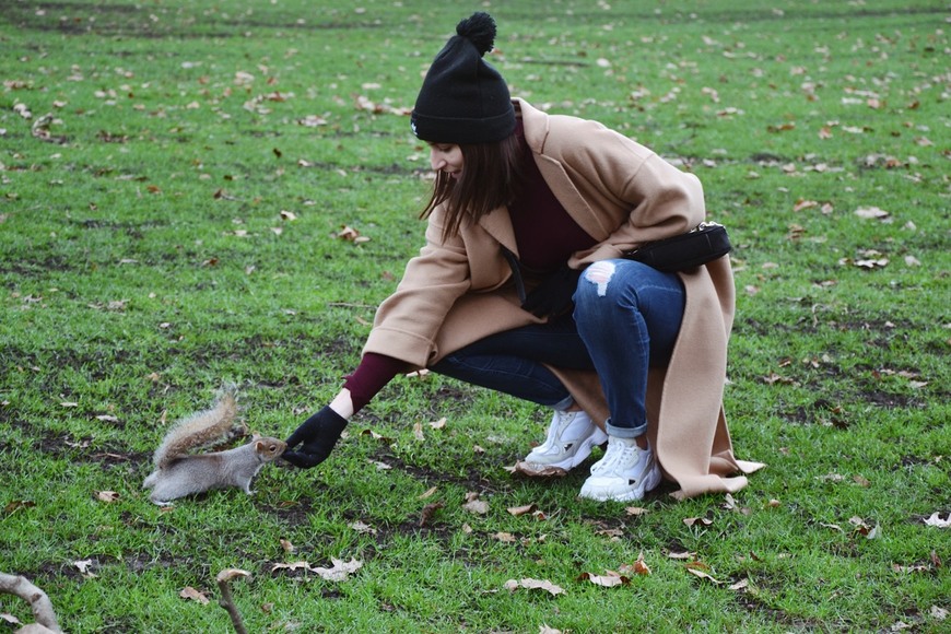 Place St. James's Park