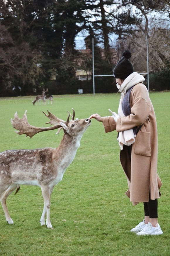 Lugar Phoenix Park