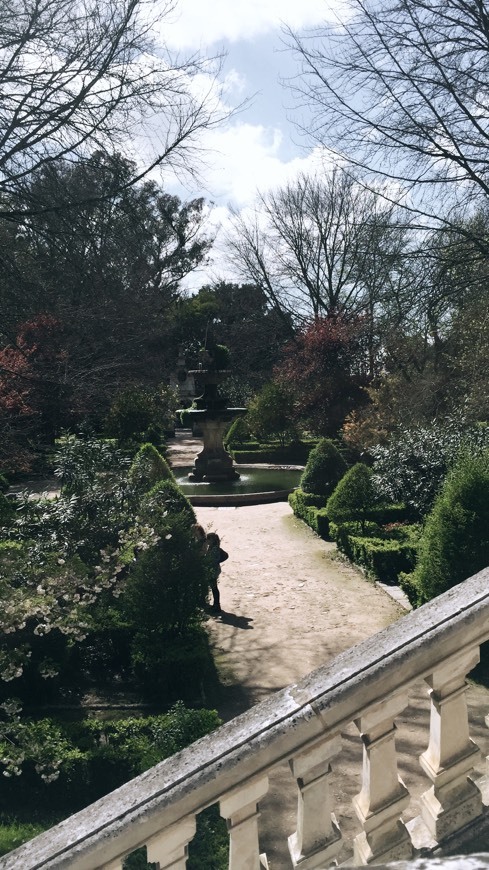 Place Jardim Botânico da Universidade de Coimbra