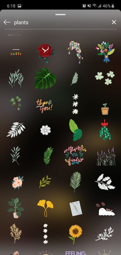 Producto Gifs PLANTS