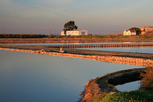 Lugar Salinas do Samouco, Fundação para protecção e Gestão Ambiental