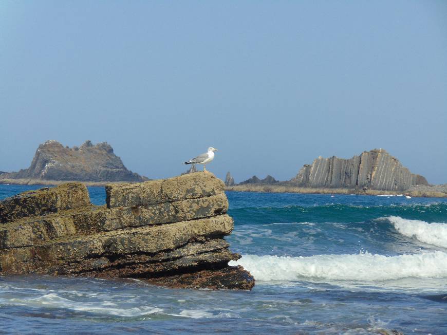 Lugar Praia da Arrifana