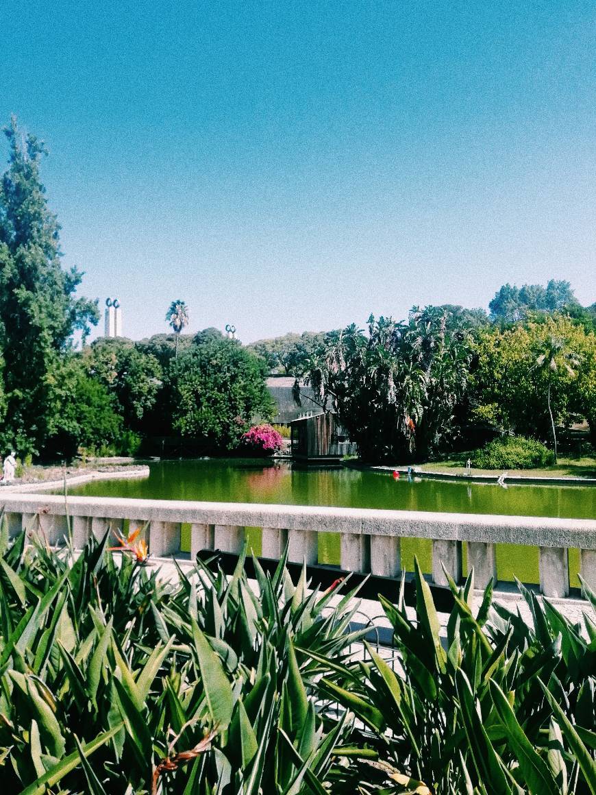 Lugar Jardín Botánico de la Universidad de Lisboa