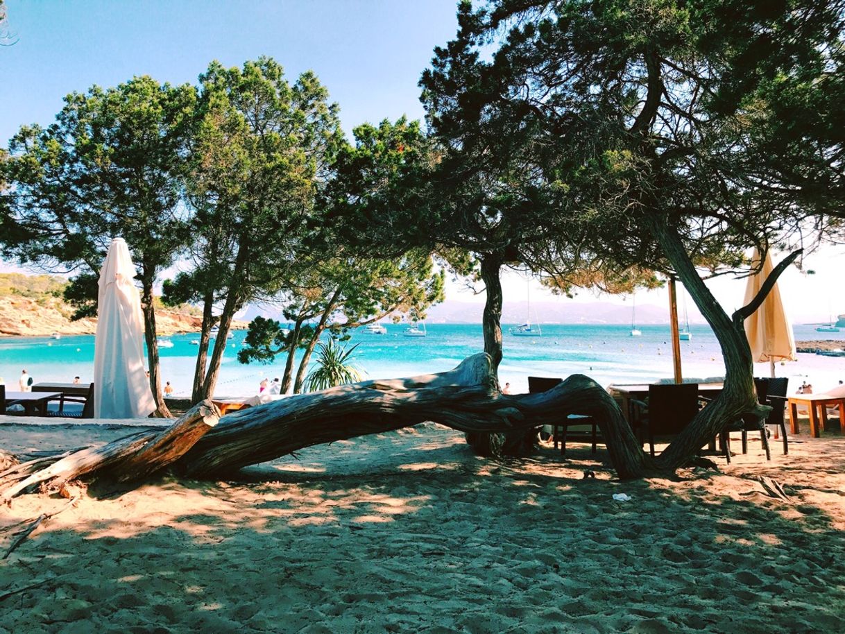 Restaurants Cala Bassa Beach Club (CBbC)