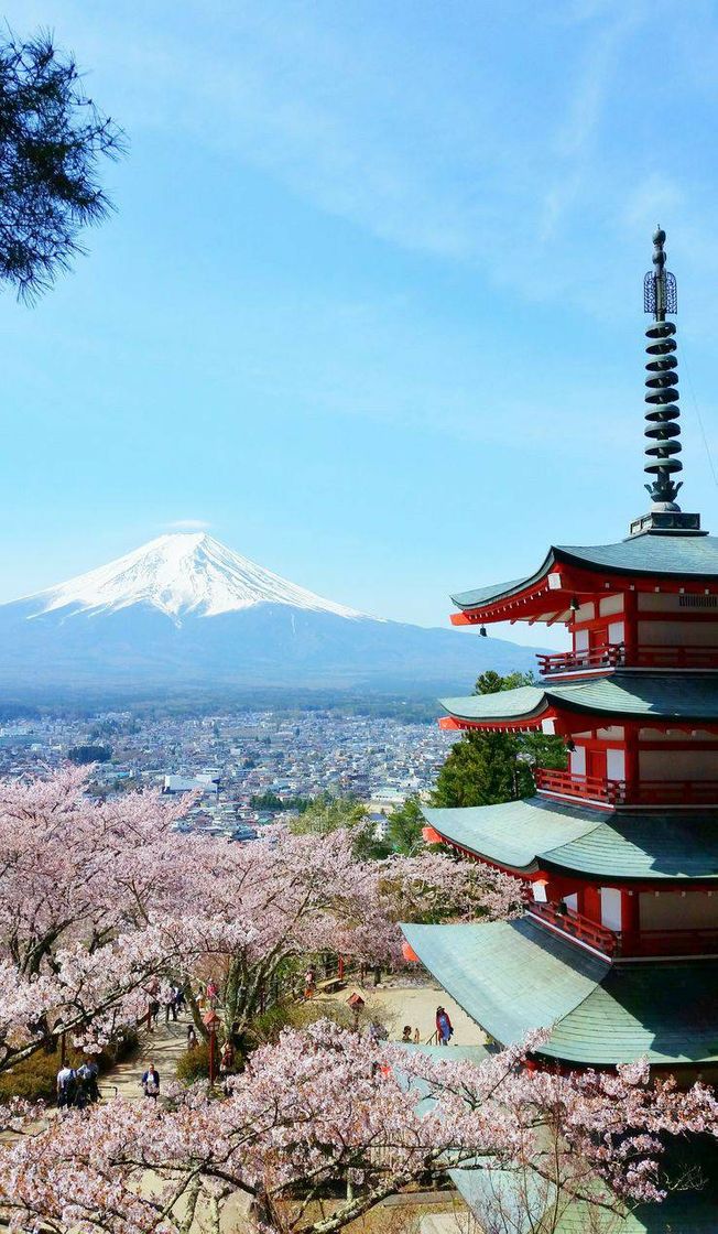 Moda Monte fuji japao 🧧⛩