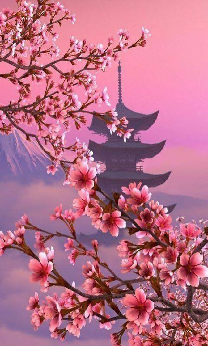 Moda 🌸Beautiful japan 🇯🇵🌸