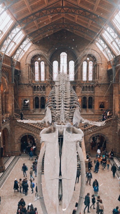 Place National History Museum