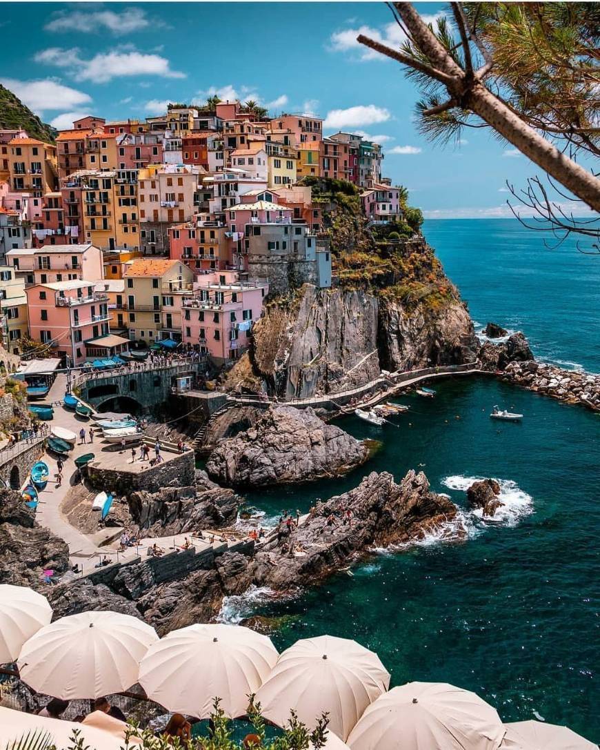 Place Manarola