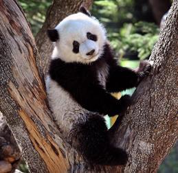 Lugar Zoo Aquarium de Madrid