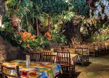 Restaurantes Rainforest Cafe