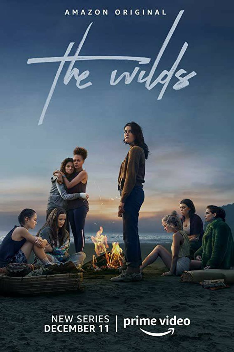 Serie The wilds :assitir no ciner vision