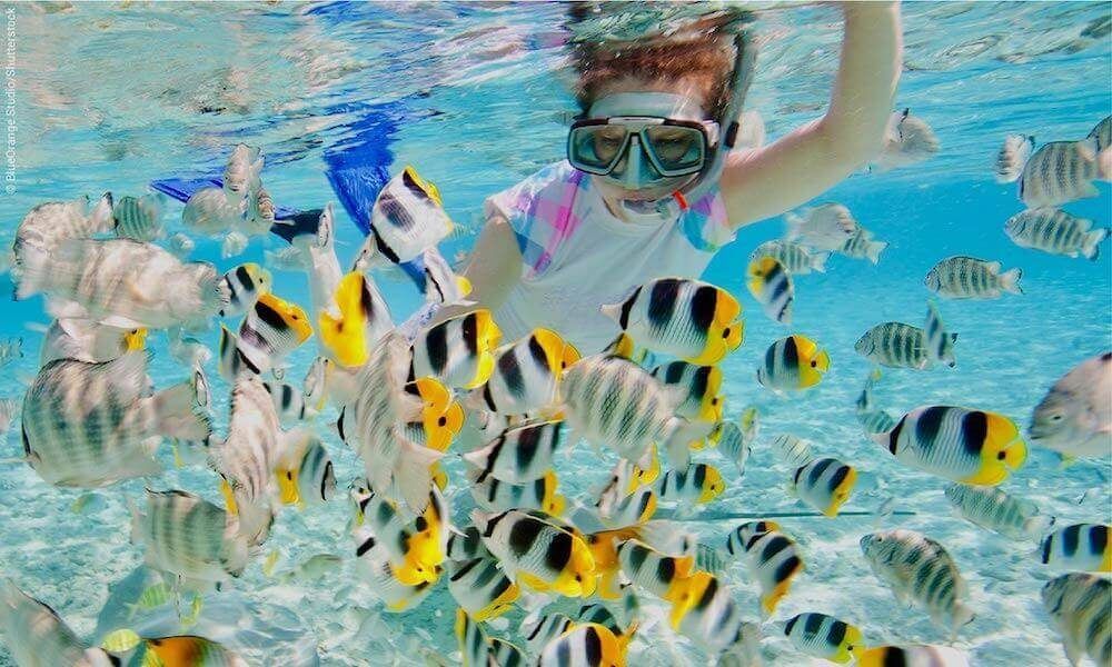 Places Snorkeling