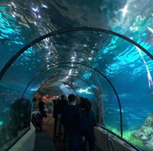 L’Aquarium