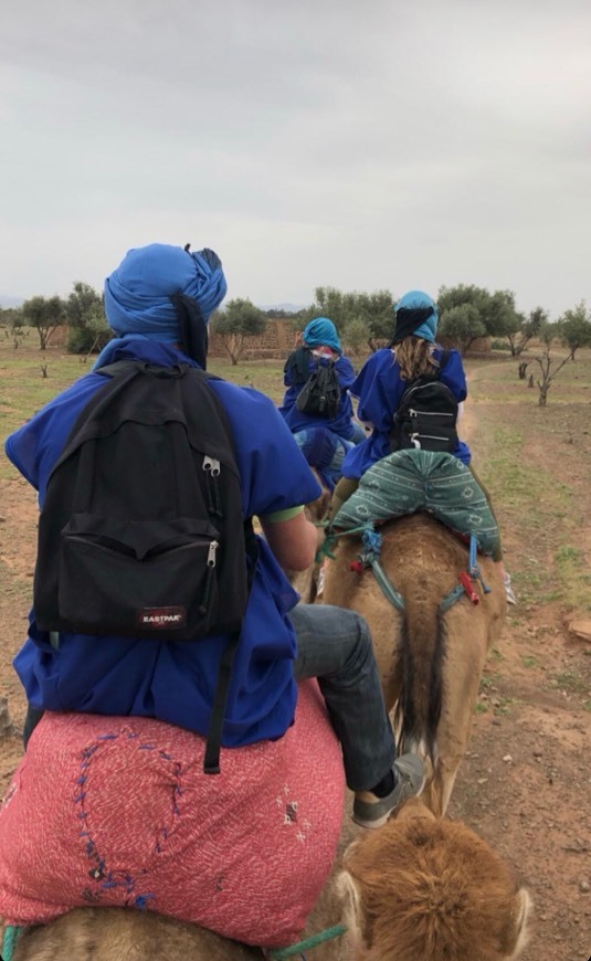 Lugares Camp Camel Tour Sahara